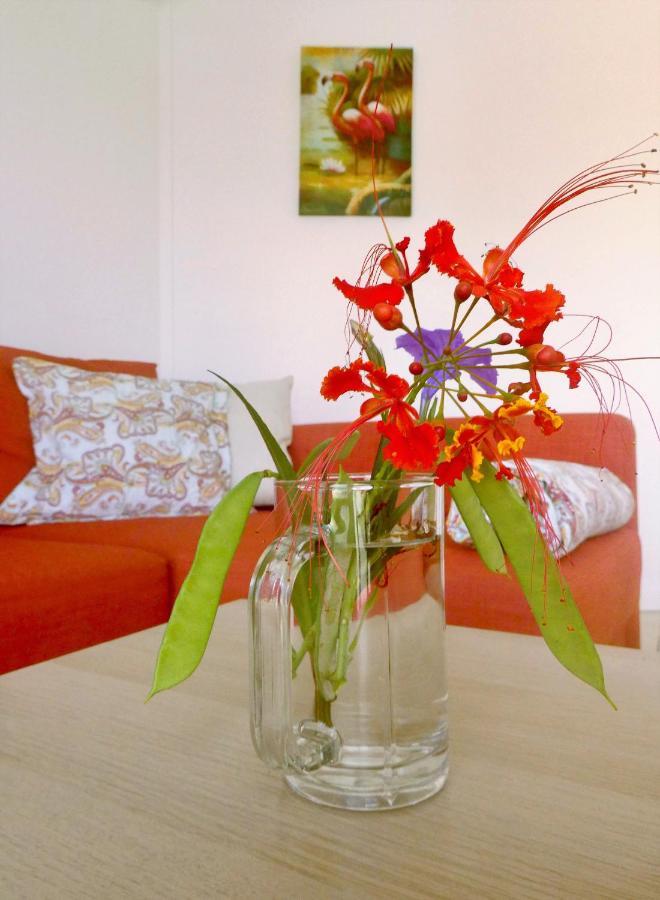 Apartment Greenflash Kralendijk  Luaran gambar